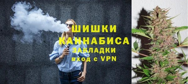 ПСИЛОЦИБИНОВЫЕ ГРИБЫ Лихославль