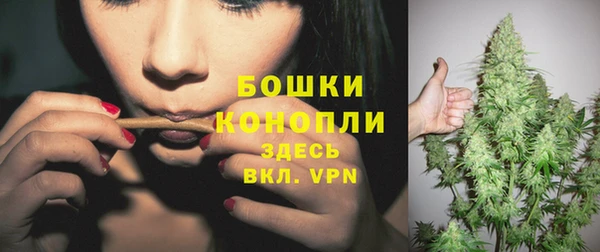 ECSTASY Белокуриха