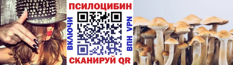 закладки  Лагань  Псилоцибиновые грибы ЛСД 